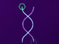 Spill Looper online
