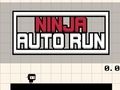 Spill Ninja Auto Run online