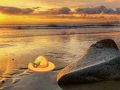 Spill Flukt fra Sunset Beach  online