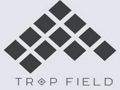 Spill Fellefelt  online