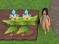 Spill Garden Rush. Grønnsaker Escape  online