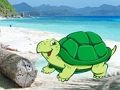 Spill Beach Crab Pair Escape online
