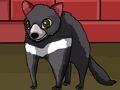 Spill Forest Tasmanian Devil Rescue online