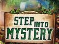 Spill Gå inn i Mystery  online