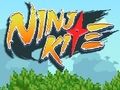 Spill Ninja drage  online