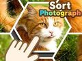 Spill Sorter fotografi  online