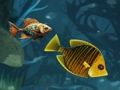 Spill Uendelig moro med fisk  online