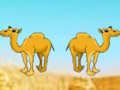 Spill Desert Gold Rush the Great Treasure Escape online