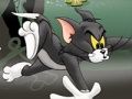 Spill Tom og Jerry Chase i Marsh  online