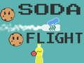 Spill Soda fly  online
