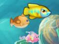 Spill Spis liten fisk online Spill Spis liten fisk online
