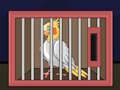 Spill Slipp The Cockatiel Bird  online