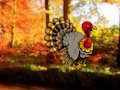 Spill Thanksgiving Dancing Tyrkia Escape  online