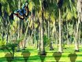 Spill Redd Tasmanian Tiger  online