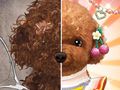 Spill Pet Makeup Master online
