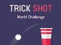 Spill Trick Shot World Challenge online