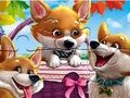 Spill Jigsaw Puzzle: Funny Corgis online