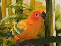 Spill Søt Budgie Puzzle  online