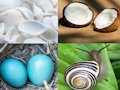 Spill 4 bilder 1 ordspill  online