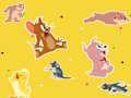 Spill Tom og Jerry Show Finn det!  online