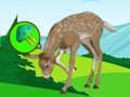Spill Deer Meadow Escape  online