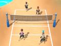 Spill Sandvolleyball 3D  online