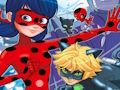Spill Ladybug Finn forskjellene  online
