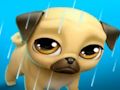 Spill Mitt virtuelle kjæledyr Louie the Pug  online