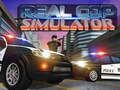 Spill Ekte politisimulator  online