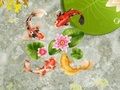 Spill Koi fiskedam  online