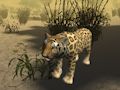 Spill Jaktsimulator for afrikansk gepard  online