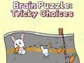 Spill Brain Puzzle: Vanskelige valg  online