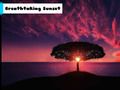Spill Fantastisk solnedgang  online