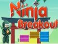 Spill Ninja Breakout online