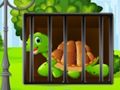 Spill Turtle Fiery Escape online