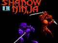 Spill Shadow of the Ninja online