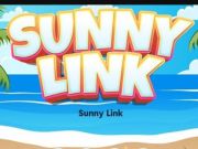 Spill Sunnrikslenke online