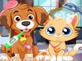 Spill Puppy Pet Vet Care online