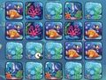 Spill Reef Color Challenge online