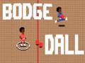 Spill Bodge Dall online