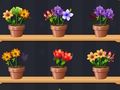 Spill God blomstermester  online