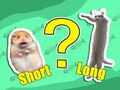 Spill Kids Quiz: Korteste og lengste  online