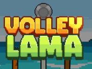 Spill Volley Lama online