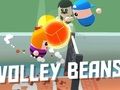 Spill Volleybønner  online