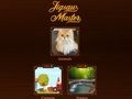 Spill Jigsaw Master online