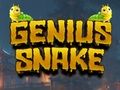 Spill Genial slange  online