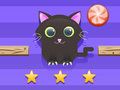 Spill Cat Challenge online