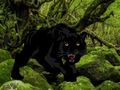 Spill Flukt fra Black Panther Forest  online