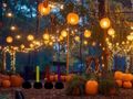 Spill Halloween Lovely Garden Escape online