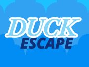 Spill Duck Escape online